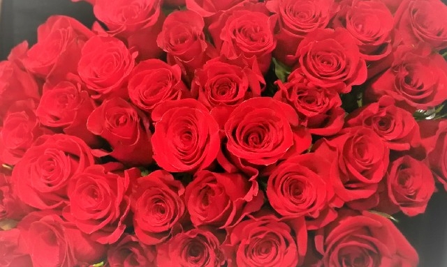 50-red-roses-2.jpg